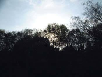 2001041601